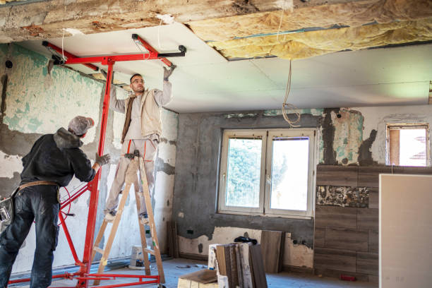 Best Geographic-Specific Insulation Services in Limestone, IL