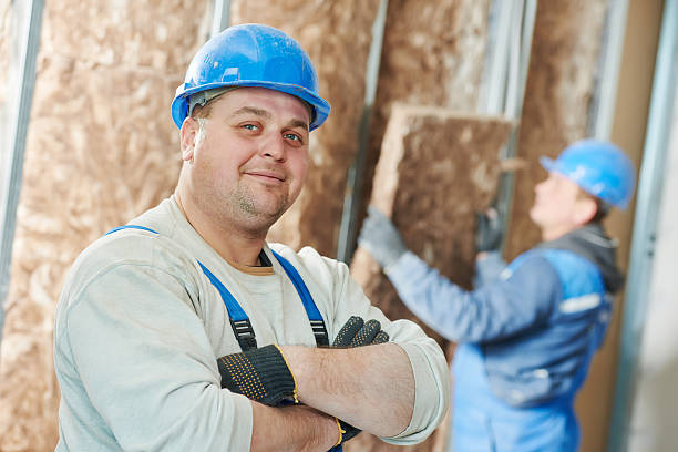 Types of Insulation We Offer in Limestone, IL