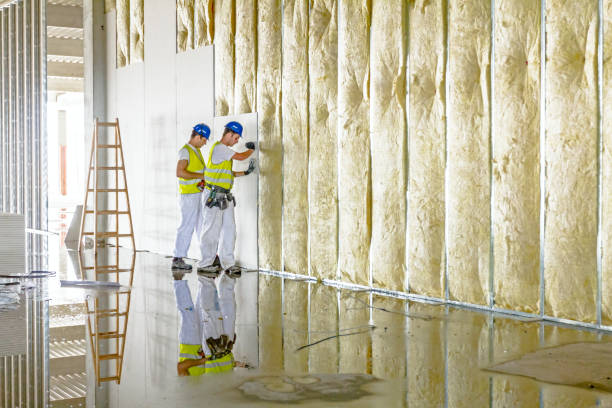 Trusted Limestone, IL Insulation Contractor Experts